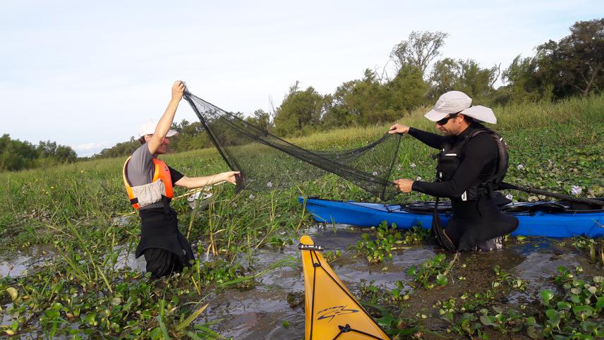 MP sampling in a lake of the Paraná River floodplain. © Martin Blettler.