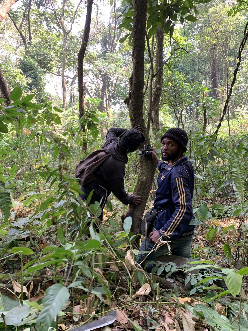 Team leader and field guide mounting a camera trap in the survey area. © Adrian Odi Eban-Odi (Timer camera).