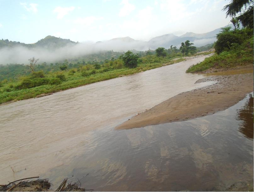 Riverine habitat of Hirmi forest ecosystem. © Mehari Girmay.