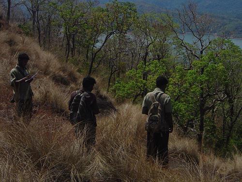 Data Collection, Thenmala. Photo by Srinivas V.