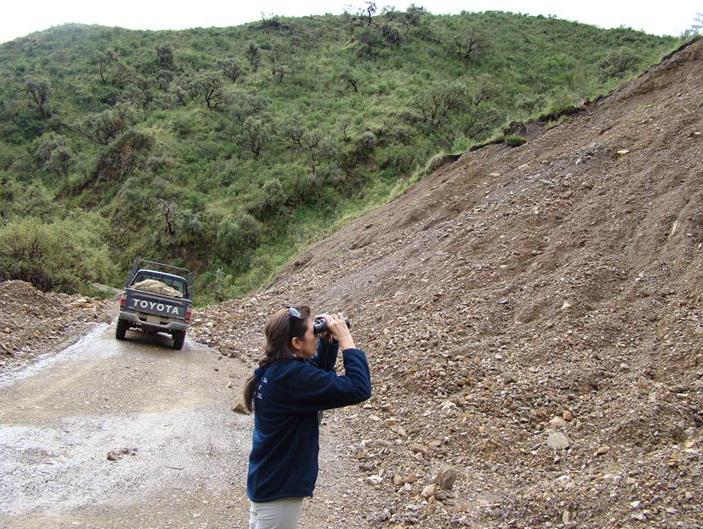 In this big landslide, rocks were still falling.