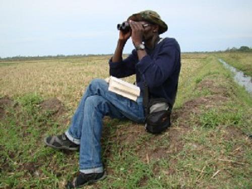Watching from a distance (taken by local assistant).