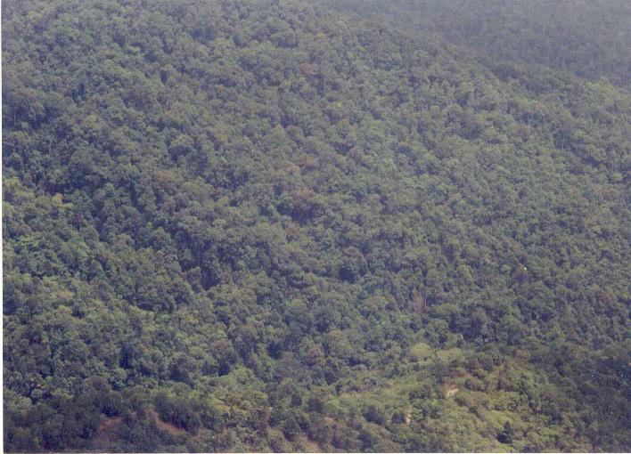 The Western Ghats.