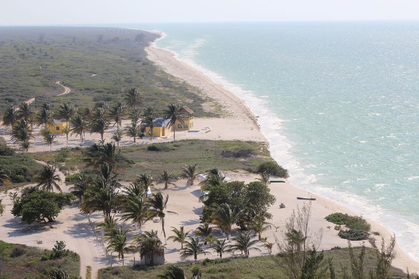 Habitat of the Yucatan wren (Campylorhynchus yucatanicus) in El Palmar, Yucatan, Mexico. © Annery Serrano Rodríguez.