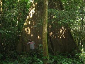 Ecological survey in Tali-Bara forest.