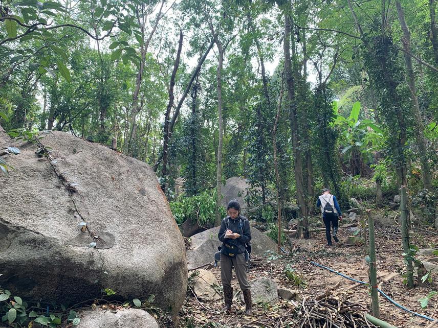 Field observation of habitat disturbance in Gekko russelltraini habitat,  Dong Nai Province. © Nguyen Hoang Van