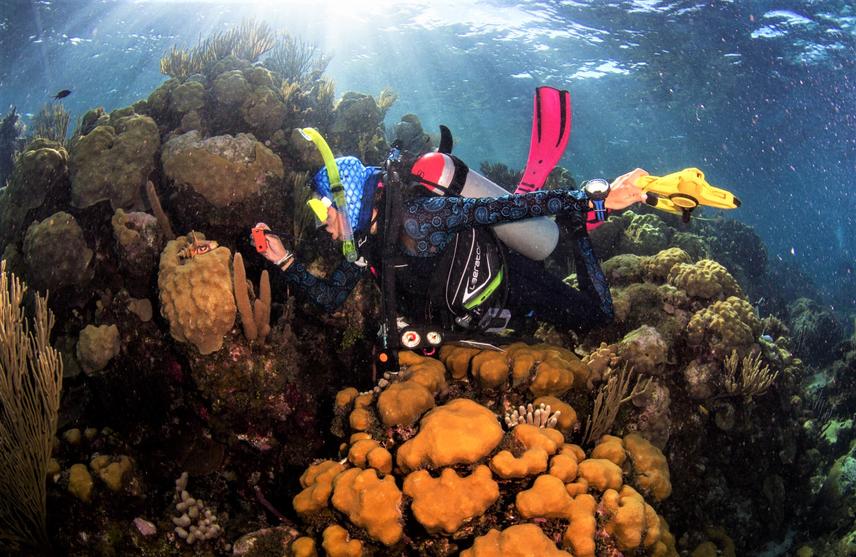Alexandra Pineda Muñoz monitoring a coral reef in San Andres Island, Colombian Caribbean, Seaflower Biosphere Reserve. ©Alfonzo Ortis / @pochortiz.