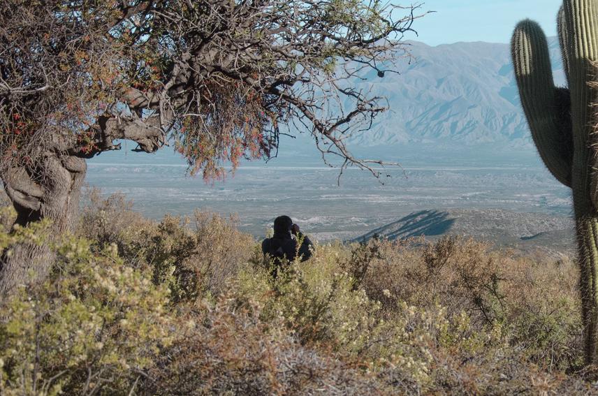 Bird sampling in Molle Yaco, Calchaquí Valley, Tucumán, Argentina.  ©Emiliano Matias.