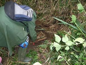 Team member digging soil to isolate a monolith.