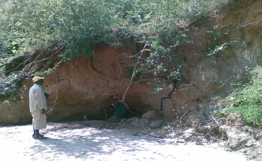 Elephant salting site