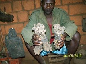Tradi-practitioner with chimps & eagle bones.