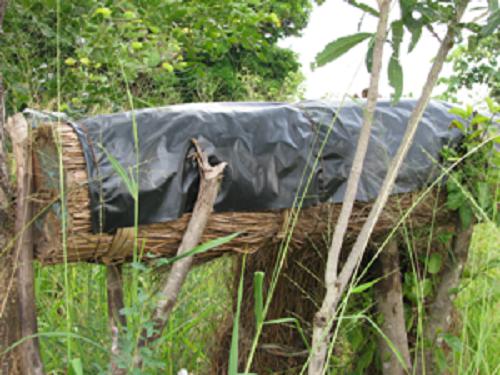 Beehive.