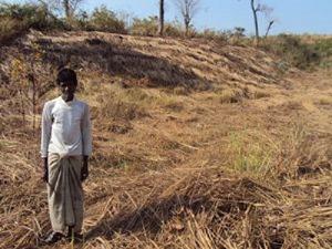 Land Use Changes.
