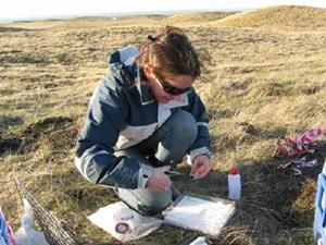 Taking samples.