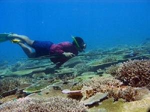 Nicobari fisherman spear fishing on the  reef. © Vardhan Patankar