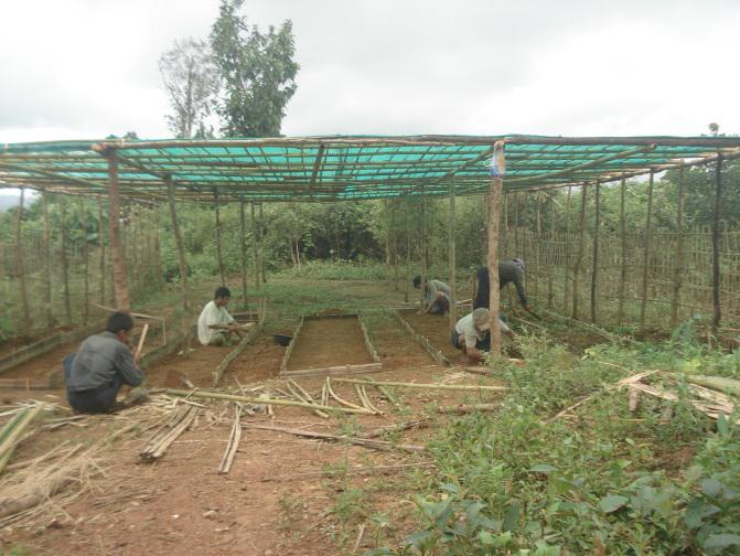 Agro-Forestry Plantation.