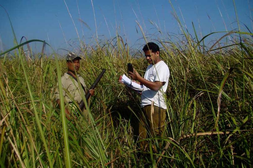 Assessing the swamp deer habitat.