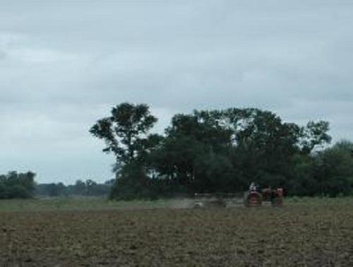 Three Quebrachos forest fragments in agriculture matrix.