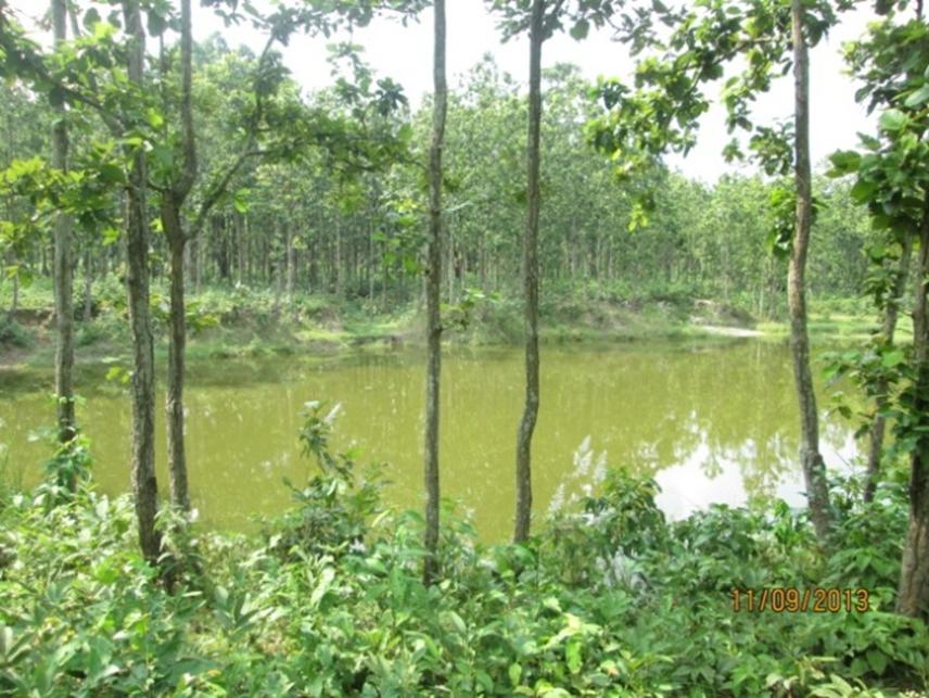 After restoration - Kamalpur VDC.