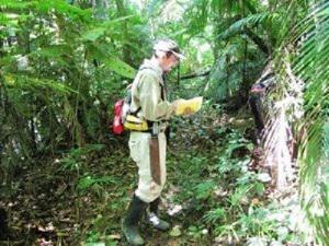 One of the research trails at Intervales state park. ©Jose Moreira.