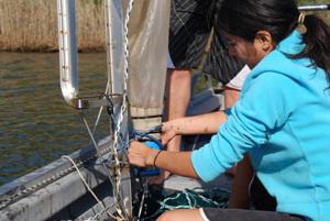 Sampling of zooplankton at Mlalazi estuary during September 2010. ©Troy Inman