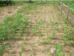 Demonstration plot.