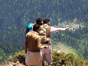 Team members pointing Musk deer during the survey.