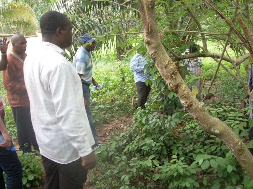 Transporting tree seedlings to watershed.
