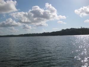 Mafia island.