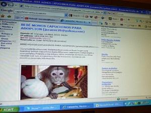 8569-2primates 2010 006.jpg