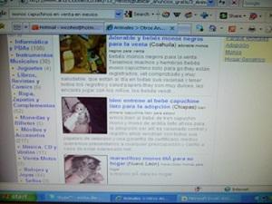 8569-2primates 2010 009.jpg