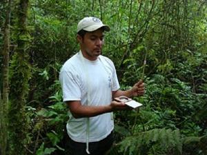 Fieldwork