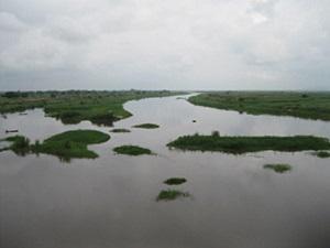Zambezi River floodplain around Caia, in an area dominated by grasses. Most dryland grasses are C4 plants characterised by high δ13C values, very different to those of aquatic producers such as plankton and benthic microalgae.