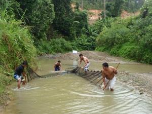 1Seining in one of the rivers in Northern Palawa