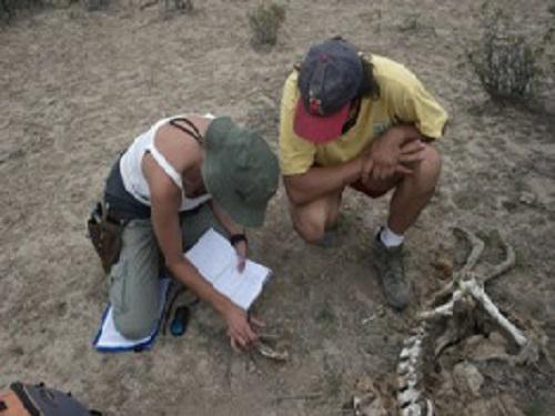 Andrea Marino and Alejo Irigoyen collecting teeth samples.