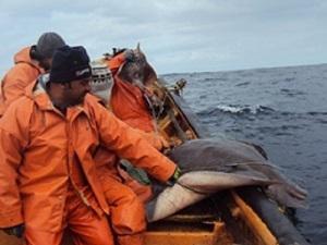 Fishermen during the fishing of manta rays. © Priscila Escobar Gimpel