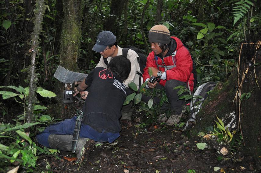 Setting a camera trap.