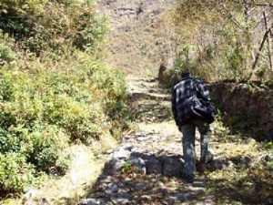 Elephant Corridor promotion activity