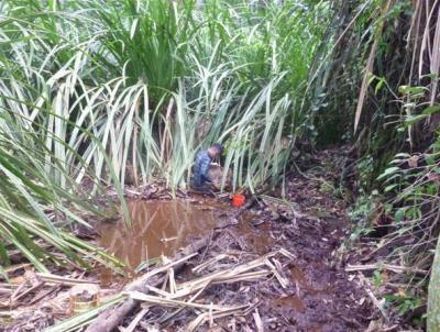 Processing fish samples from a pool site in Stage 2-3 PSF.