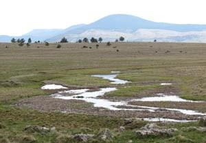 Kupresko polje.