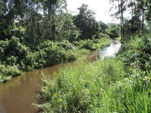 Wambabya course where the field work is taking place.