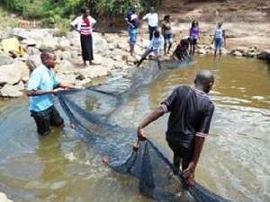 Ichthylogical survey of the Mwitasyano river.
