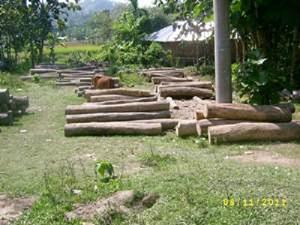 Logging.