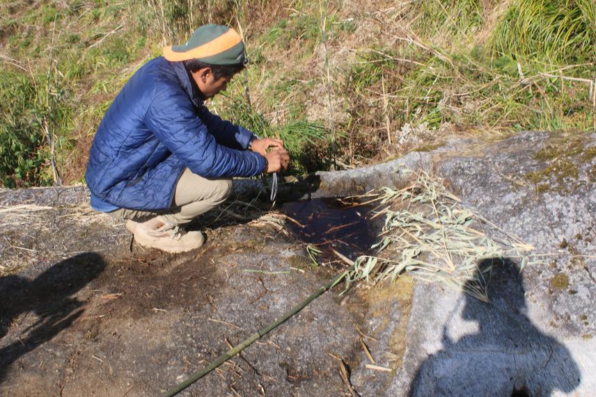 Wildlife killed area in Surumkhim.