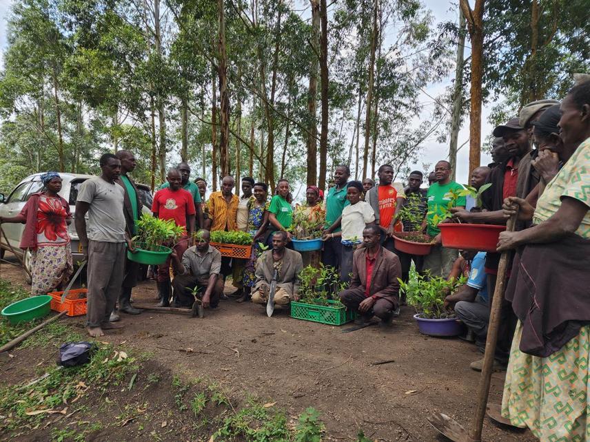 A collaborative Forest Management group in Rubirizi district's Kabukwili village after receiving seedlings for enrichment planting in Kalinzu CFR © Benard Tumwekwatse