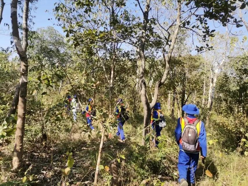 A picture of the team on the slopes of Mulanje mountain. © Takondwa Kadaluka.