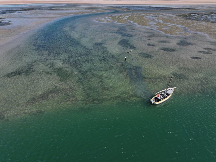 A traditional Imraguen sailboat that is used for guitarfish mark and recapture studies, where collaboration with local fishermen is essential for the success of the project ©Mohamed Abou Gueye