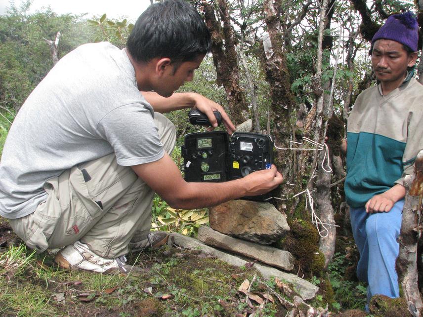 Ambika Khatiwada setting camera traps focusing on dholes in Kangchejnunga CA. ©Ambika Khatiwada.