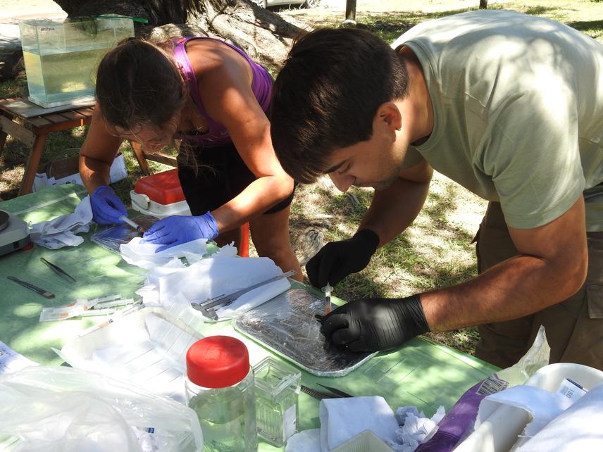 Andre Crupkin and Gaston Ojeda sampling fish (c) Gaston Ojeda