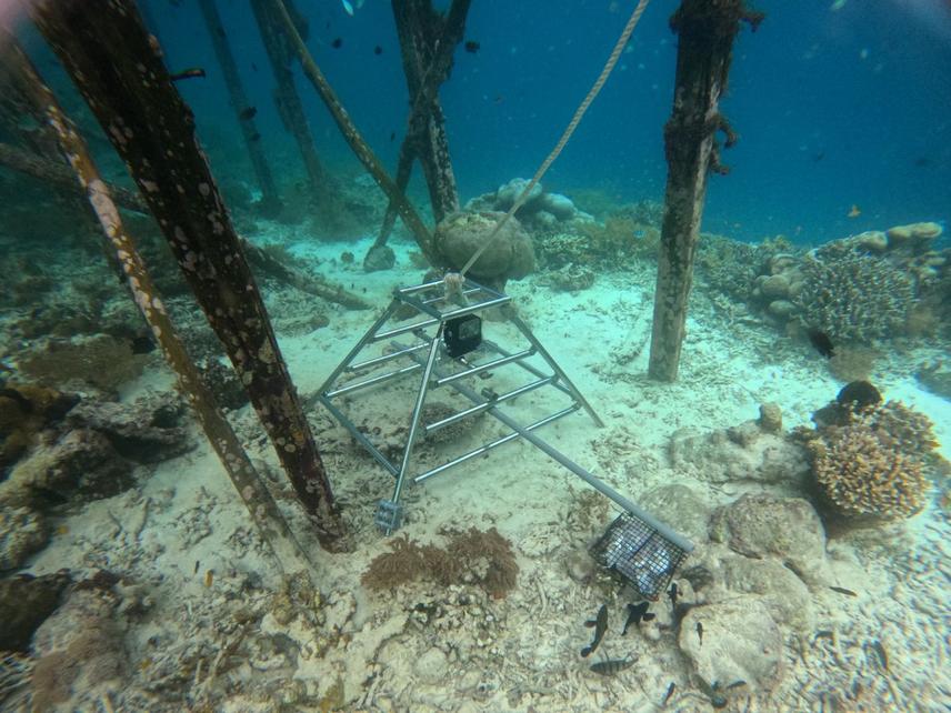 BRUV structure underwater. © Muhammad Ichsan